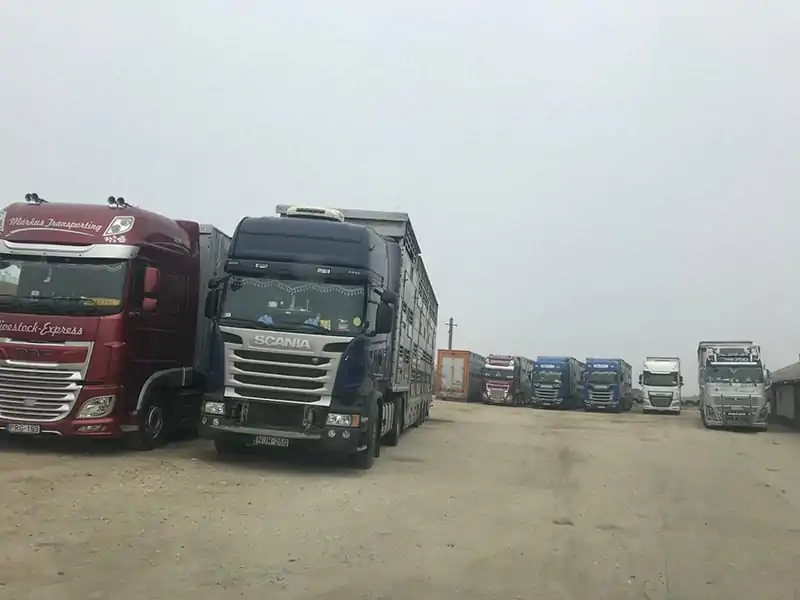 Stație de odihnă și hrănire bovine tranzit România