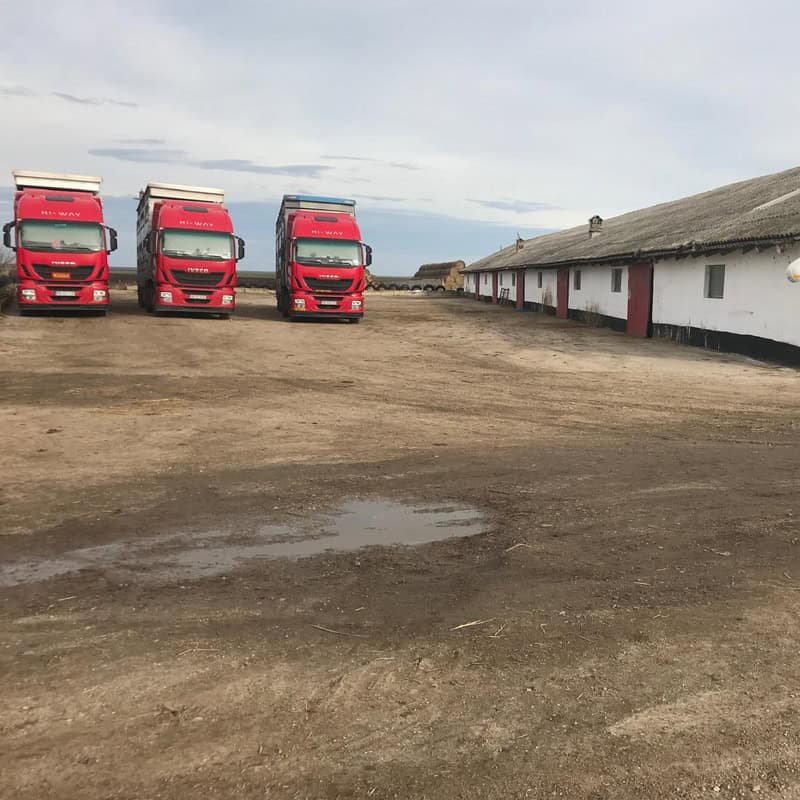 Stație de odihnă și hrănire bovine tranzit România