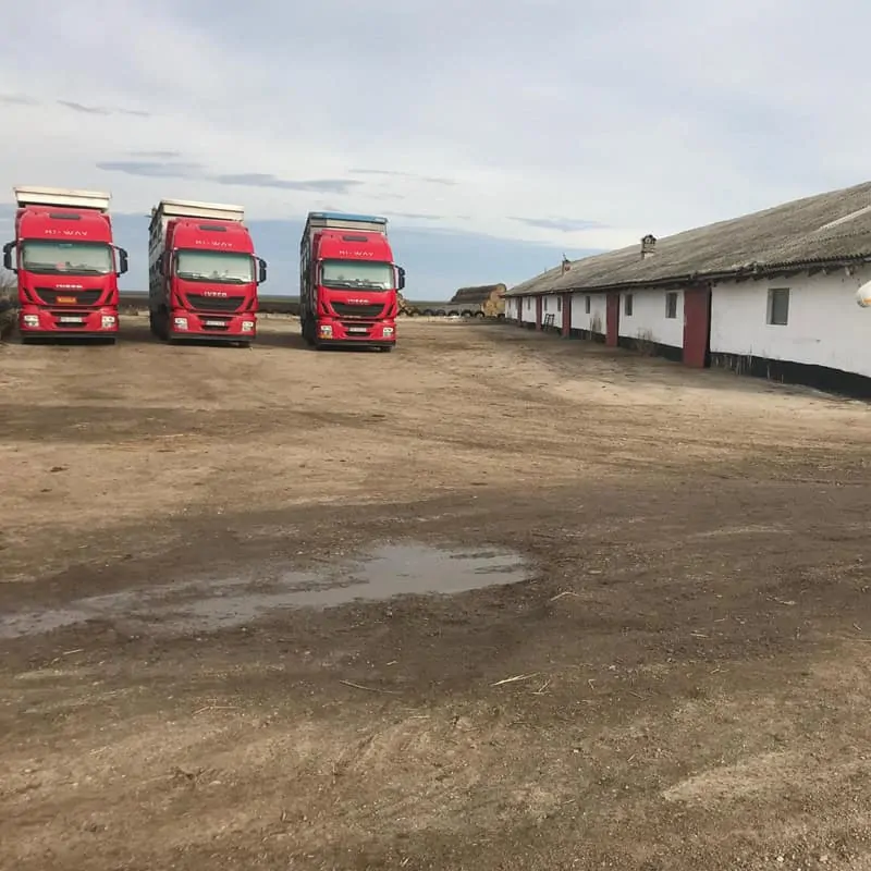 Stație de odihnă și hrănire bovine tranzit România