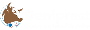 logo deniprest alb